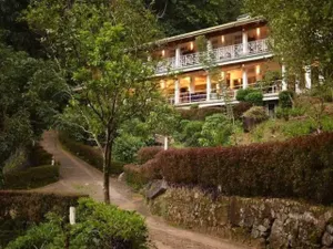 Image of Forest Edge Hotel