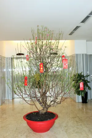 Image of Liberty Hotel Saigon Greenview
