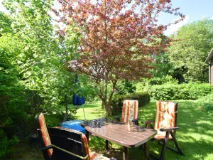 Image of Cozy Apartment in Braunlage near Forest