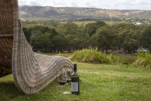 Image of WayWood Wines Your Vineyard Getaway