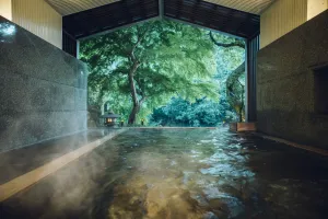 Image of Hoshino Resorts KAI Hakone
