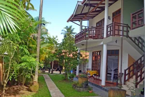 Image of DANDELION - Unawatuna