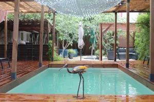 Image of Les 2 Drôles d'Oiseaux