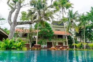 Image of Serenmo