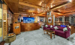 Image of Bravia Hotel Manali Inn