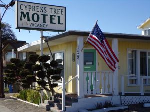 Image of Cypress Tree Motel