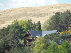 Image of Treetops B&B