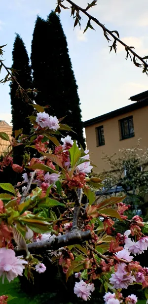 Image of Hotel Via Roma