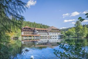 Image of Hotel Langenwaldsee