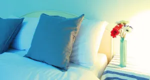 Image of Ameena Apartment