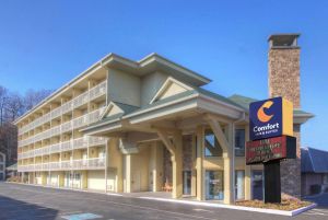 Image of Comfort Inn & Suites at Dollywood Lane