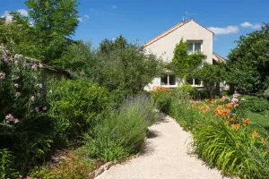 Image of La Terre d'Or