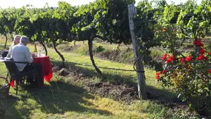Image of Stanthorpe Heritage Estate
