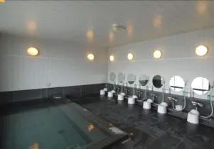 Image of Hotel Route-Inn Osaka Honmachi