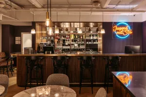 Image of Hotel Schani Salon