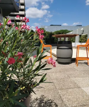 Image of ibis budget Bordeaux Centre Mériadeck