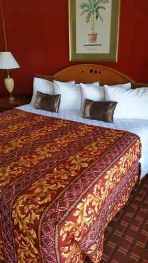 Image of Palms Inn