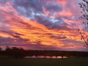 Image of Stargazers Escape Stanthorpe