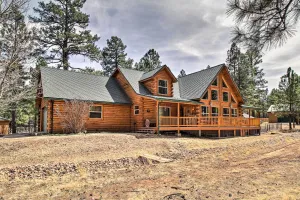 Image of Family Game Room Spacious Overgaard Cabin