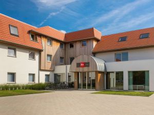 Image of ibis De Haan