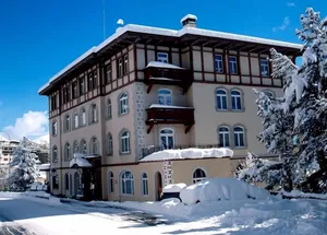 Image of Soldanella