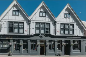 Image of The Ginger Pig