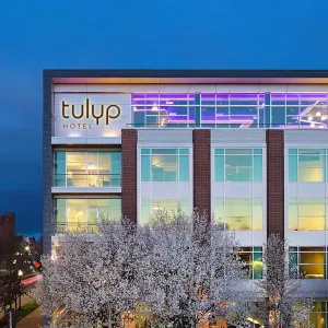 Image of Tulyp, Tapestry Collection by Hilton