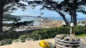 Image of Premium holiday home with sea view