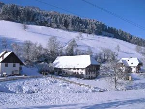 Image of Comfy Apartment in Salmensbach near River