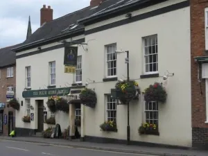 Image of Dixie Arms