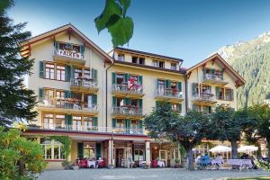 Image of Historic Hotel Falken
