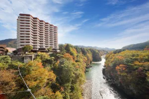 Image of Hotel Sunshine Kinugawa