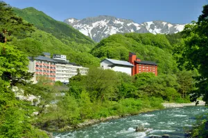 Image of Matsunoi