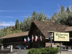 Image of Whispering Pines