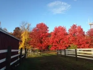 Image of Flint Hill Farm AG