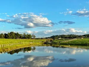 Image of KUR-Cow farm escape 35 minutes from Cairns