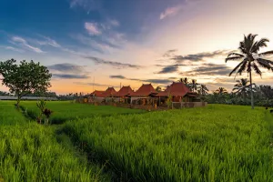 Image of Arindama Villa Ubud, by Uniquecations