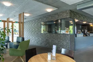 Image of Backpackers Villa Sonnenhof - Hostel Interlaken
