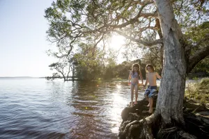 Image of NRMA Myall Shores Holiday Park