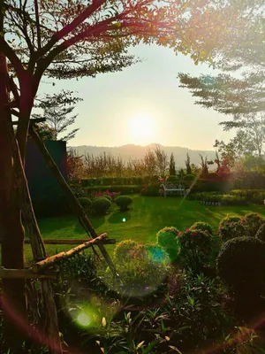 Image of The Focus Khaoyai Resort