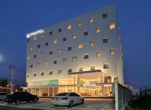 Image of Mintel Huamark