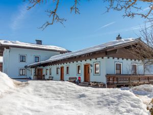 Image of Spacious Apartment in Mittersill near Ski Area