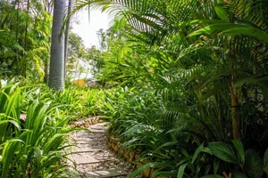 Image of Bougainvillea Retreat