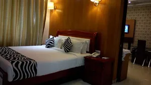 Image of Hotel SS Palace