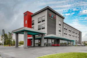 Image of avid hotels - Zeeland by IHG