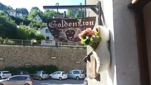 Image of Golden Lion