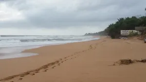 Image of Sea Breeze