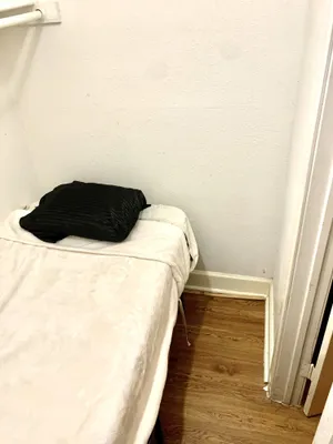 Image of The Ugly House
