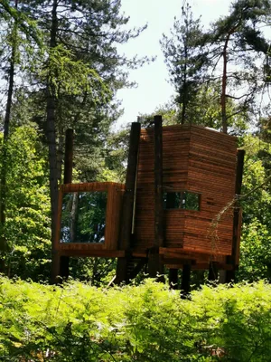 Image of Luxury Tree Loft Tree Cabin for 4 People 4