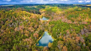 Image of Cinnamon Valley